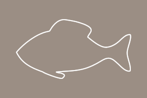 fisch